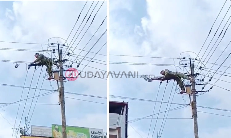 Pigeon Rescued: ವಿದ್ಯುತ್ ಲೈನ್ ನಲ್ಲಿ ಸಿಲುಕಿದ ಪಾರಿವಾಳ ರಕ್ಷಿಸಿದ ಪವರ್‌ಮ್ಯಾನ್