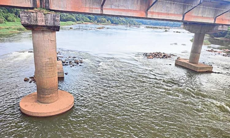 Puttur: ಮಳೆ ಬರಲಿ, ಬರ ದೂರ ಇರಲಿ… ಕುಸಿದ ನೀರಿನ ಹರಿವಿನ ಪ್ರಮಾಣ, ಬರದ ಛಾಯೆ