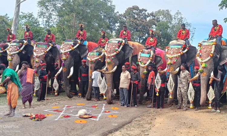 Mysore; ಅಲಕೃಂತ ಆನೆಗಳಿಗೆ ಪುಷ್ಪಾರ್ಚನೆ ಮಾಡುವ ಮೂಲಕ ಗಜಪಯಣಕ್ಕೆ ಚಾಲನೆ