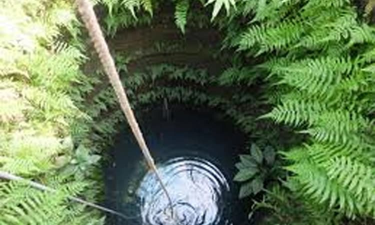 Kota ಕಸ ಸ್ವಚ್ಛಗೊಳಿಸುವಾಗ ಬಾವಿಗೆ ಬಿದ್ದು ಸಾವು