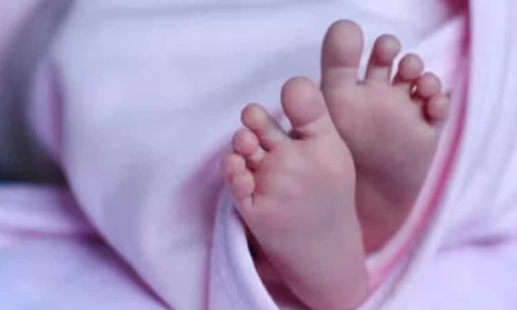 Bird flu: 9ತಿಂಗಳ ಮಗುವಿಗೆ ಹಕ್ಕಿ ಜ್ವರ… ಜ್ವರ, ಉಸಿರಾಟದ ತೊಂದರೆಯಿಂದ ಬಳಲುತ್ತಿದ್ದ ಮಗು