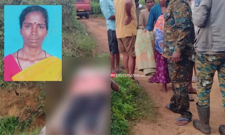 Sakleshpura: ಕಾಡಾನೆ ದಾಳಿಗೆ ಮಹಿಳೆ ಬಲಿ