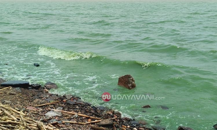 Hosapete: ಮತ್ತೆ ಹಸಿರು ಬಣ್ಣಕ್ಕೆ ಡ್ಯಾಂ ನೀರು: ನದಿಪಾತ್ರದ ಗ್ರಾಮಸ್ಥರಲ್ಲಿ ಆತಂಕ