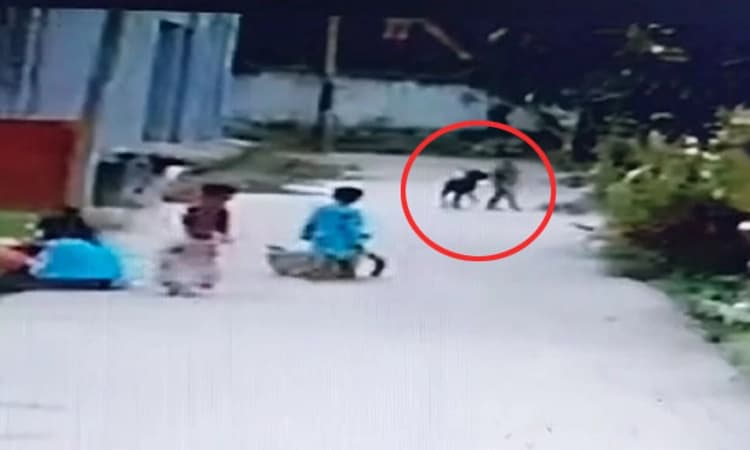 Kunigal; ಬೀದಿ‌ ನಾಯಿ ದಾಳಿ‌ : ಗಂಭೀರವಾಗಿ ಗಾಯಗೊಂಡ ಮಗು