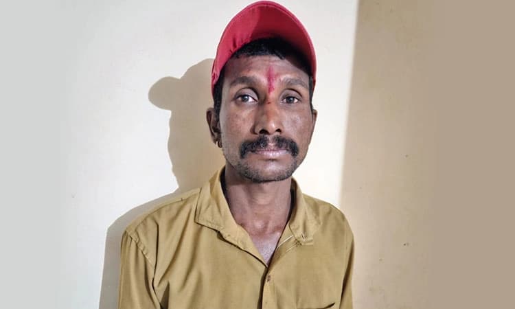 Madikeri: ತೋಟದಲ್ಲಿ ಗಾಂಜಾ ಗಿಡ ಬೆಳೆದಿದ್ದ ಆರೋಪಿ ಬಂಧನ