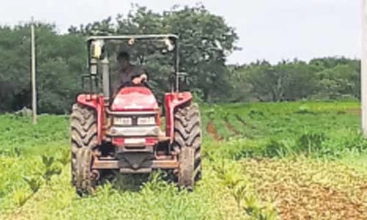 ಬ್ಯಾಡಗಿ: ರೋಗಪೀಡಿತ ಗೋವಿನಜೋಳ ಬೆಳೆ ನಾಶ