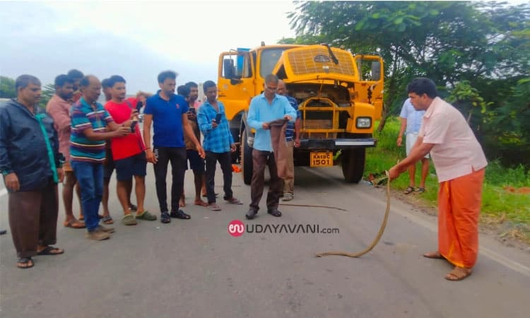 Kaup: ಟಿಪ್ಪರ್‌ನೊಳಗೆ ಅವಿತ ನಾಗರ ಹಾವು!