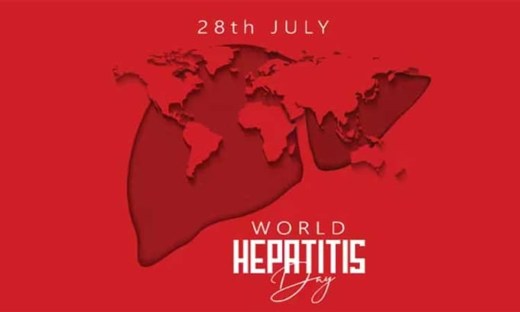 World Hepatitis Day: ದೀರ್ಘ‌ಕಾಲೀನ ಹೆಪಟೈಟಿಸ್‌: ಸದ್ದಿಲ್ಲದೆ ಕೊಲ್ಲುವ ಕಾಯಿಲೆ