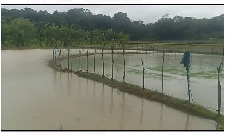 Chikkamagaluru: ಮಳೆ ಕಡಿಮೆಯಾಗುವ ತನಕ ಪ್ರವಾಸ ಮುಂದೂಡುವಂತೆ ಎಸ್.ಪಿ. ಮನವಿ