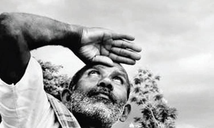 ಮುಂಗಾರು ಮಳೆ ಕ್ಷೀಣ; ಬಿತ್ತನೆ ಕುಂಠಿತ