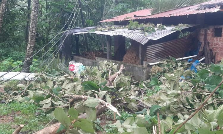 Vitla: ಭಾರೀ ಸುಳಿಗಾಳಿಗೆ ತತ್ತರ : ಹಲವು ಮನೆಗಳಿಗೆ ಹಾನಿ