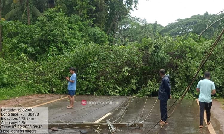 Vitla: ಭಾರೀ ಮಳೆಗೆ ರಾ. ಹೆದ್ದಾರಿಗೆ ಬಿದ್ದ ಮರ; ವಾಹನ ಸಂಚಾರ ಅಸ್ತವ್ಯಸ್ತ