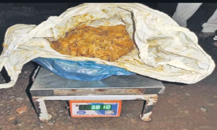 ಅಂಬರ್‌ಗ್ರೀಸ್‌ ಎಂದು ವಂಚನೆ: ಮೂವರ ಸೆರೆ