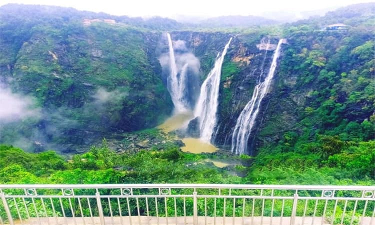 Jog Falls: ಜೀವಕಳೆಯತ್ತ ಭಾರತದ ಎರಡನೇ ಅತಿ ಎತ್ತರದ ʻಜೋಗʼ ಜಲಪಾತ