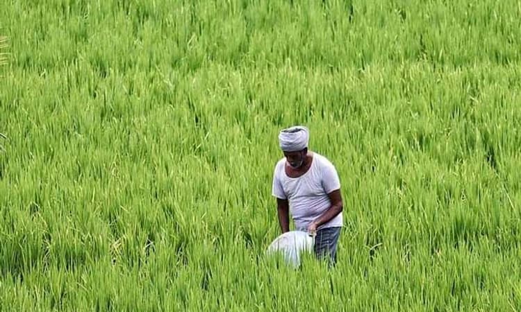 ಬೆಳೆವಿಮಾ: ರೈತರಿಗಿಂತ ಕಂಪನಿಗೆ ಹೆಚ್ಚು ಲಾಭ