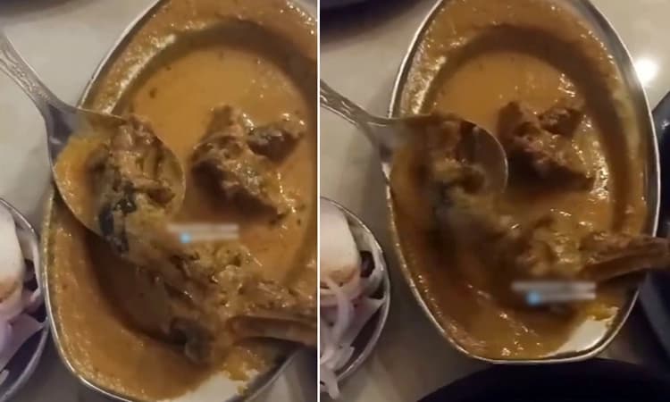 Video… ಪಂಜಾಬ್ ನ ಪ್ರಸಿದ್ಧ ಹೋಟೆಲ್ ನಲ್ಲಿ ನೀಡಿದ ಆಹಾರದಲ್ಲಿ ಸತ್ತ ಇಲಿ ಪತ್ತೆ!