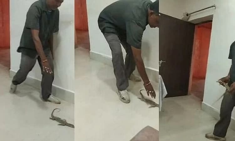 ಅಧಿಕಾರಿಗಳು ತನ್ನ ಮನವಿ ತಿರಸ್ಕರಿಸಿದರೆಂದು ಕಚೇರಿಯೊಳಗೆ ಉಡ ತಂದು ಬಿಟ್ಟ ವ್ಯಕ್ತಿ…