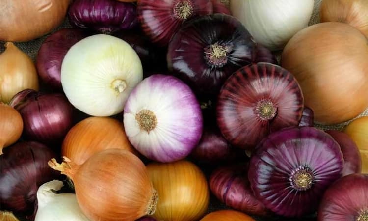 Health Tips: ಮಳೆಗಾಲದ ಕೆಮ್ಮು, ಶೀತಕ್ಕೆ ಇದು ತುಂಬಾ ಉತ್ತಮ ಔಷಧ