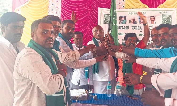 ರೈತರ ಸಮಸ್ಯೆಗಳಿಗೆ ಸಂಘಟನೆ ನೆರವಾಗಬೇಕು