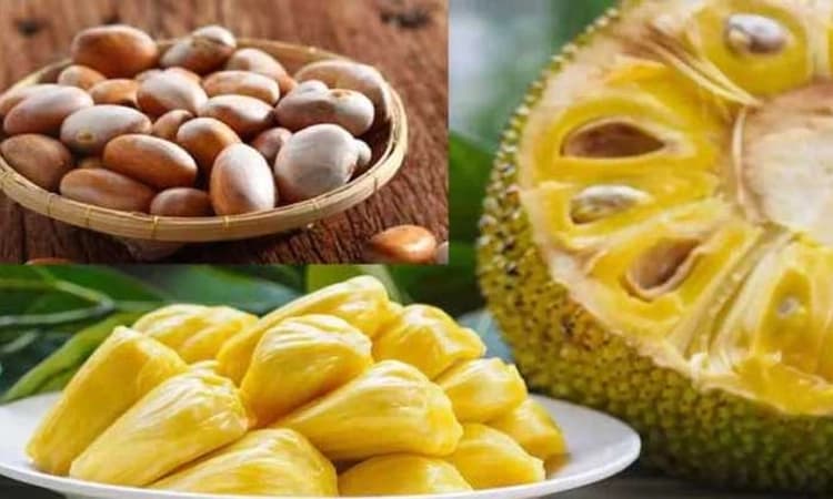 Monsoon Season: ಹಲಸಿನ ಹಣ್ಣು ತಿನ್ನುವುದರಿಂದ ಎಷ್ಟೆಲ್ಲಾ ಆರೋಗ್ಯ ಲಾಭಗಳಿವೆ…