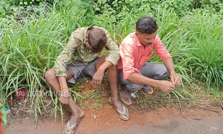 Shirva: ಕಾಣಿಕೆ ಡಬ್ಬಿ ಕಳ್ಳರನ್ನು ಹಿಡಿದು ಪೊಲೀಸರಿಗೊಪ್ಪಿಸಿದ ಯುವಕರು