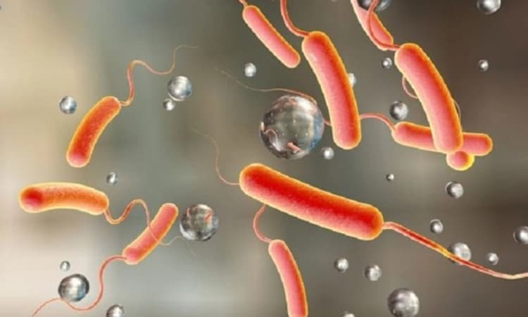 Gujarat; 4 ಕಾಲರಾ ಪ್ರಕರಣಗಳು ವರದಿ: ಪಟ್ಟಣ ಪೀಡಿತ ಪ್ರದೇಶ ಎಂದು ಘೋಷಣೆ