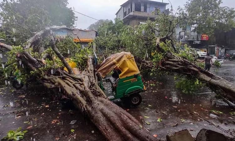 Strong winds: ಚಲಿಸುತ್ತಿದ್ದ ಬೈಕ್‌ ಮೇಲೆ ಬಿದ್ದ ಬೃಹತ್ ಮರ: ಪತ್ನಿ ಸಾವು, ಪತಿಗೆ ಗಾಯ