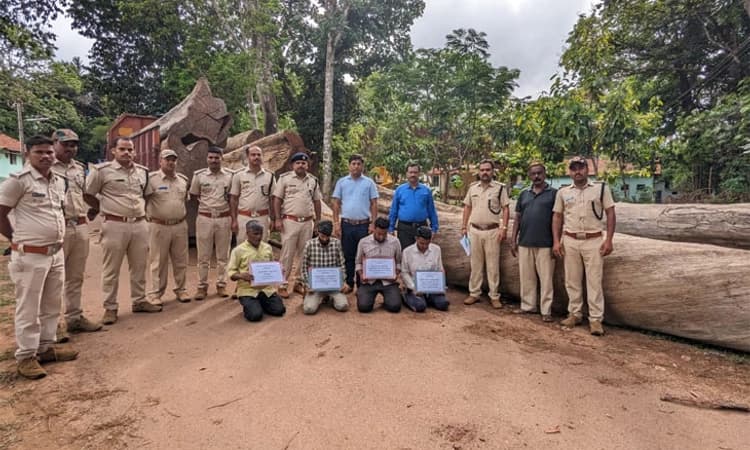 Sirsi ಭಾರಿ ಮೌಲ್ಯದ ನಾಟಾ ಅಕ್ರಮ ಸಾಗಾಟ; ನಾಲ್ವರ ಬಂಧನ