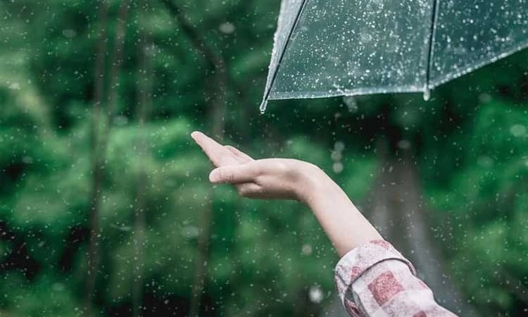 Monsoon season; ಮಳೆಗಾಲದಲ್ಲಿ ಆರೋಗ್ಯದ ಕಡೆಗೂ ಗಮನಹರಿಸಬೇಕು…