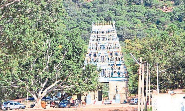 ಗುಡಿಬಂಡೆ: ಎಲ್ಲೋಡು ಗ್ರಾಪಂ ಕೇಂದ್ರಕಿಲ್ಲ ಸಾರಿಗೆ ಬಸ್‌