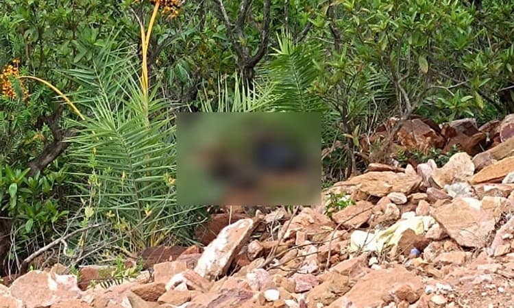 ದೇವರುಮನೆ ಗುಡ್ಡದಲ್ಲಿ ಕೊಳೆತ ಸ್ಥಿತಿಯಲ್ಲಿ ಯುವಕನ ಶವ ಪತ್ತೆ;ಕೊಲೆ ಶಂಕೆ