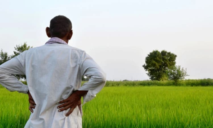 35 ಸಾವಿರ ರೈತರಿಗೆ ಪಿಎಂ ಕಿಸಾನ್‌ ನಿಧಿ ಇಲ್ಲ