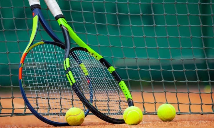 French Open ವನಿತಾ ಸಿಂಗಲ್ಸ್‌:  ಹದ್ದಾದ್‌ ಮಯಾ ವರ್ಸಸ್‌ ಇಗಾ ಸ್ವಿಯಾಟೆಕ್‌