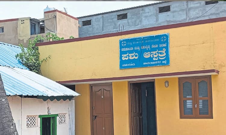 ಯಳಂದೂರು: ಏಳು ಪಶು ಚಿಕಿತ್ಸಾ ಕೇಂದ್ರಗಳಿಗೆ ಒಬ್ಬನೇ ವೈದ್ಯ