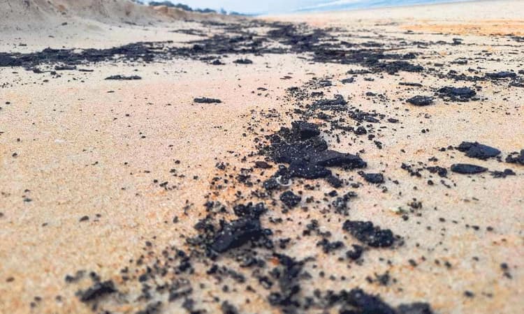 ಕೋಡಿ ಕಡಲತೀರದಲ್ಲಿ ಜಿಡ್ಡಿನ ಚೆಂಡುಗಳು!