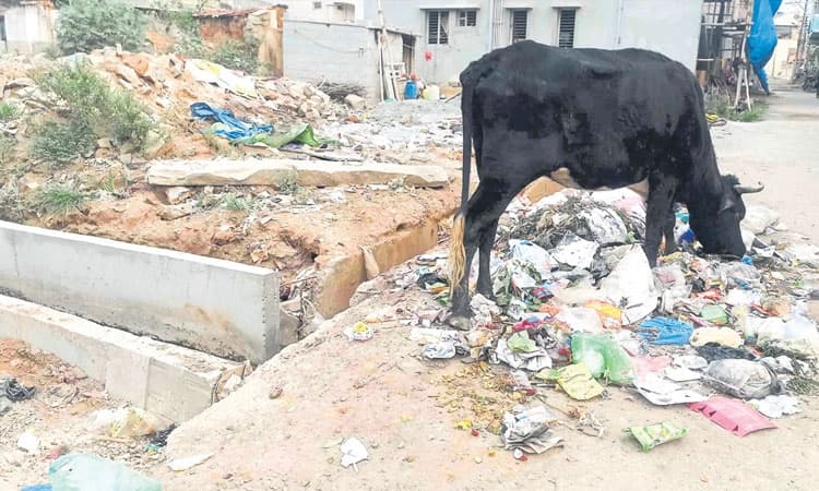 ಮಾರಕ ಪ್ಲಾಸ್ಟಿಕ್‌ ವಿರುದ್ಧ ಹೋರಾಟ