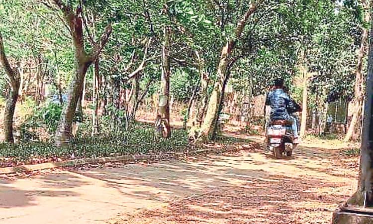 Manipal: ಮಣ್ಣಪಳ್ಳ ಅವ್ಯವಸ್ಥೆಗೆ ಸಿಗದ ಪರಿಹಾರ