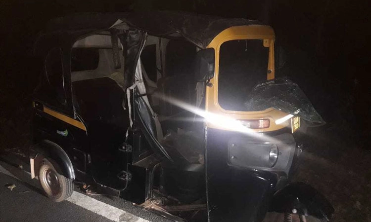Auto Rickshaw ಮೇಲೆ ಕಾಡುಕೋಣ ದಾಳಿ: ಬಾಲಕನಿಗೆ ಗಾಯ