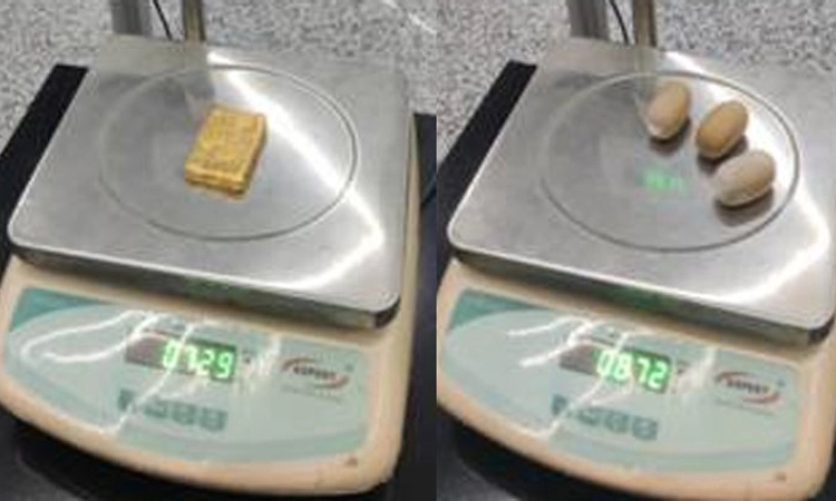 Mangaluru; ಗುದನಾಳದಲ್ಲಿ 46 ಲಕ್ಷ ರೂ. ಮೌಲ್ಯದ ಚಿನ್ನ ಕಳ್ಳ ಸಾಗಾಣಿಕೆ!