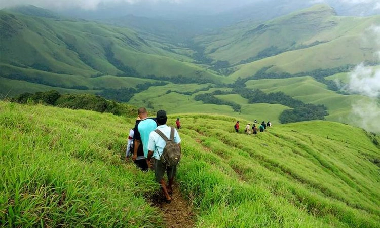 Forest Department; ಚಾರಣ ಅನುಮತಿಗೆ ಏಕ ವೆಬ್‌ಸೈಟ್‌ – ಸಿದ್ಧತೆ
