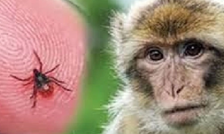 Monkey ಕಾಯಿಲೆ ಉಲ್ಬಣ: 2 ತಿಂಗಳಲ್ಲಿ 5ನೇ ವ್ಯಕ್ತಿ ಸಾವು