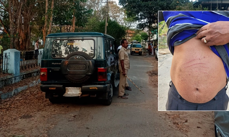 Bear: ಶಿವಮೊಗ್ಗ ನಗರದಲ್ಲಿ ಬೆಳ್ಳಂಬೆಳಗ್ಗೆ ವಾಕಿಂಗ್ ಹೋದವರ ಮೇಲೆ ಕರಡಿ ದಾಳಿ…