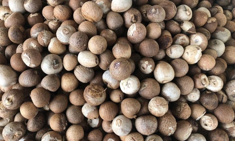 Puttur; ಚುನಾವಣೆ ಘೋಷಣೆಯಾದರೆ ಅಡಿಕೆ ಧಾರಣೆ ಏರಿಕೆ?