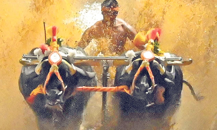 Katapady ಕಂಬಳ ಕೂಟದ ಫಲಿತಾಂಶ