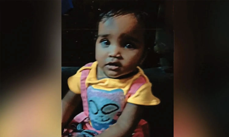 Stray Dogs: ಬೀದಿನಾಯಿಗಳ ದಾಳಿಗೆ ಒಂದೂವರೆ ವರ್ಷದ ಕಂದಮ್ಮ ಬಲಿ