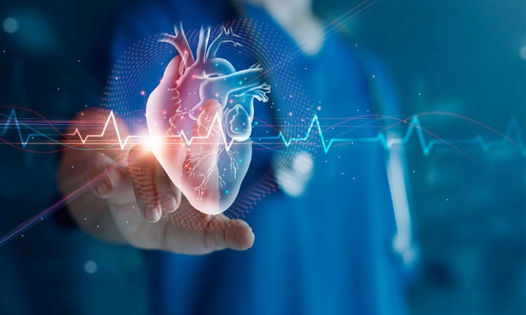 Heart Health: ಹೃದಯ ಆರೋಗ್ಯ ಪೂರಕ ಆಯ್ಕೆಗಳು