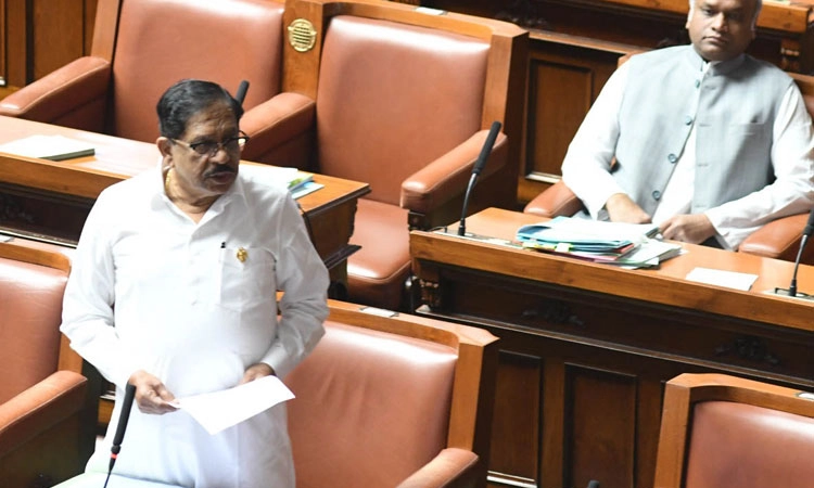 Assembly Session; ಅನಿವಾಸಿ ಭಾರತೀಯರಿಗೆ ಪ್ರತ್ಯೇಕ ಸಚಿವಾಲಯ: ಡಾ| ಪರಮೇಶ್ವರ್‌