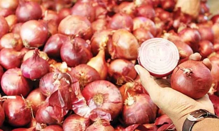 Onion Price: ಈರುಳ್ಳಿ ಬೆಲೆಯಲ್ಲಿ ದಿಢೀರ್‌ ಏರಿಕೆ, ಕ್ವಿಂಟಾಲ್‌ ಗೆ ಶೇ.40ರಷ್ಟು ಹೆಚ್ಚಳ