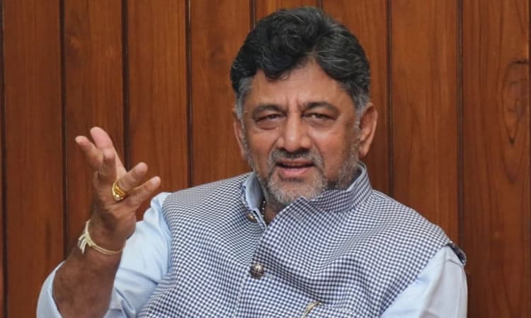 ಅಜ್ಜಿ ಕೊಟ್ಟ ಭೂಮಿಯಲ್ಲಿ ಬೆಳೆದ ಸೌತೆಕಾಯಿ!