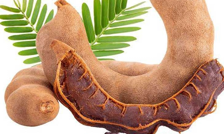 Desi Swara: ಭಾರತದ ಖರ್ಜೂರ “ಹುಣಸೆಹಣ್ಣು”